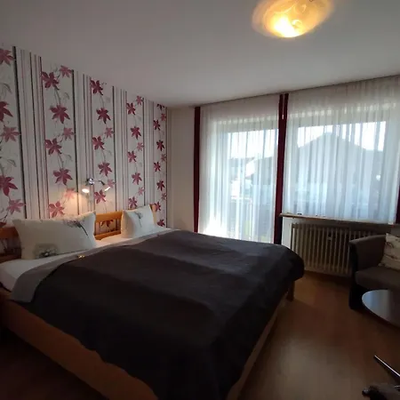 Erika Guest house 3*